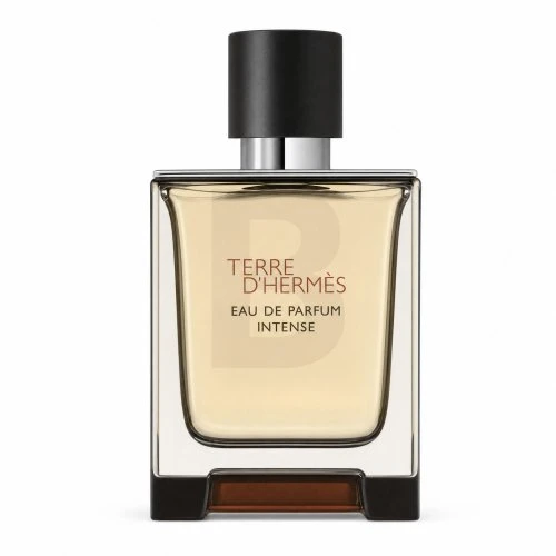 Hermes Terre D'Hermes Eau Intense Vetiver EDP parfumuotas vanduo vyrams, 50 ml
