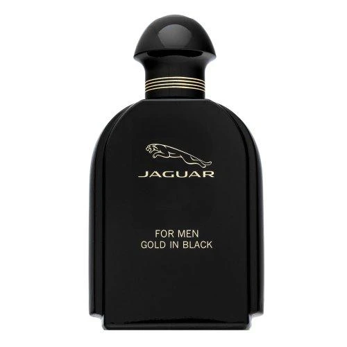 Jaguar For Men Gold In Juodas tualetinis vanduo 100ml