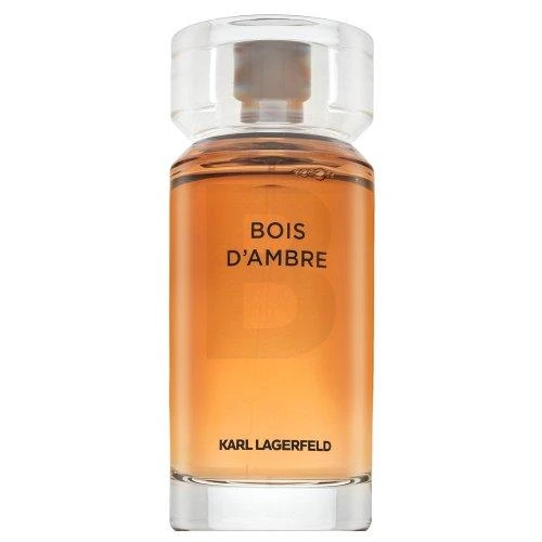 Karl Lagerfeld Bois D'Ambre EDT tualetinis vanduo vyrams, 100 ml