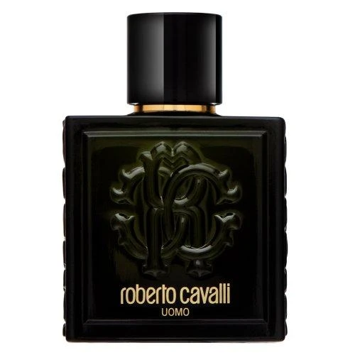 Kvepalai vyrams Roberto Cavalli Uomo EDT, 100 ml