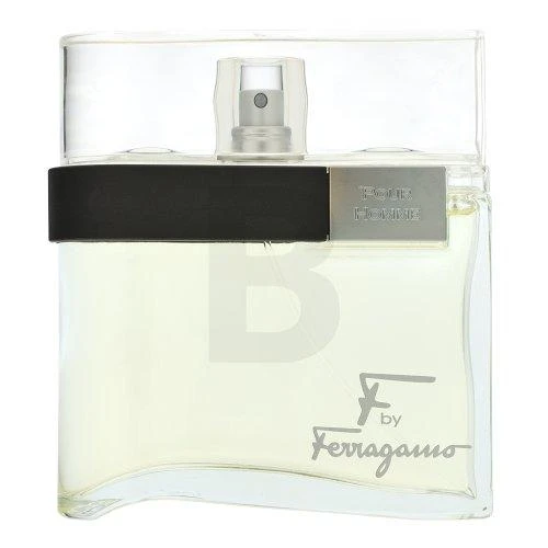 Kvepalai vyrams Salvatore Ferragamo F EDT 100ml
