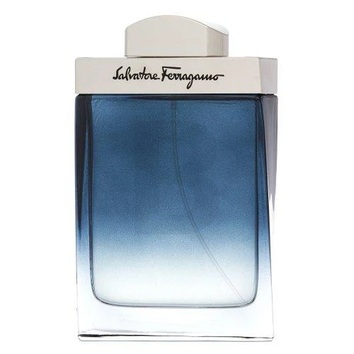 Salvatore Ferragamo Subtil Pour Homme EDT tualetinis vanduo vyrams, 100 ml