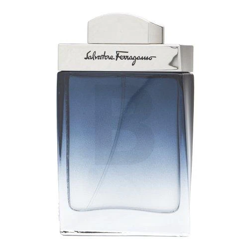 Salvatore Ferragamo Subtil Pour Homme EDT tualetinis vanduo vyrams, 50 ml