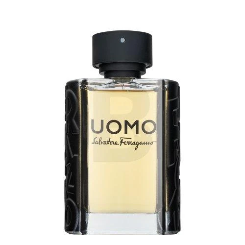 Salvatore Ferragamo Uomo EDT tualetinis vanduo unisex, 100 ml