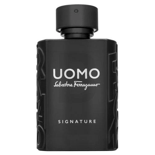 Kvepalai vyrams  Salvatore Ferragamo Uomo Signature EDP, 100 ml