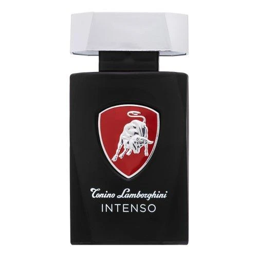 Tonino Lamborghini Lamborghini Intenso EDT tualetinis vanduo vyrams, 125 ml