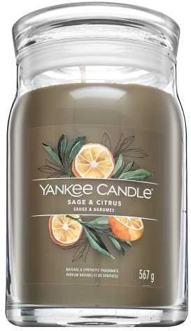 Yankee Candle Aromatinė žvakė "Signature large glass Sage - Citrus" 567 g