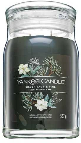 Yankee Candle Sidabrinis Sage & Pine Large Jar 567g