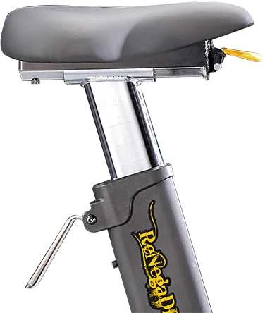 Spiningo dviratis RENEGADE AB100