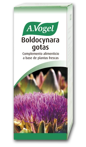 A. VOGEL Vogel Boldocynara 100ml