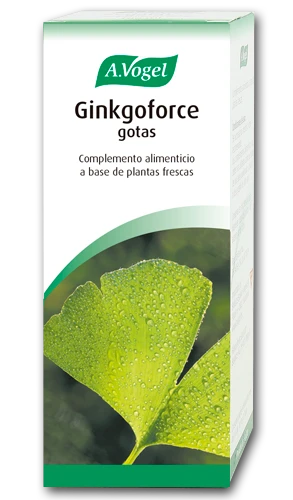 A. VOGEL Vogel Ginkgoforce 100ml
