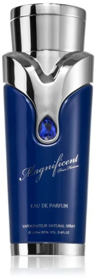 Armaf Magnificent Mėlyna Pour Homme EDP parfumuotas vanduo, 100 ml