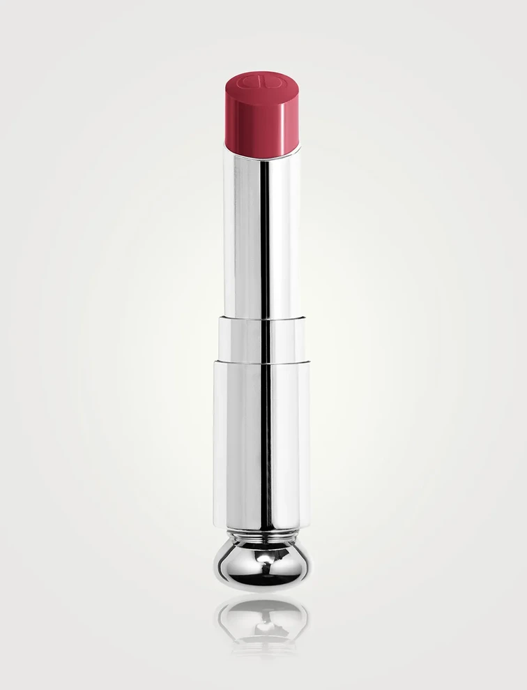 Dior Addict lūpų dažų N 667 papildymas