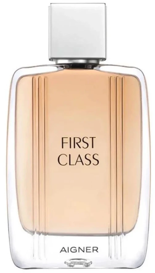 Vyrų kvepalai Aigner Parfums EDT First Class (100 ml)