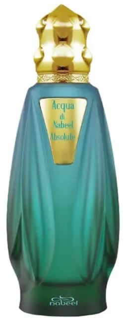 Nabeel Acqua Di Nabeel Absolute EDP parfumuotas vanduo unisex, 100 ml