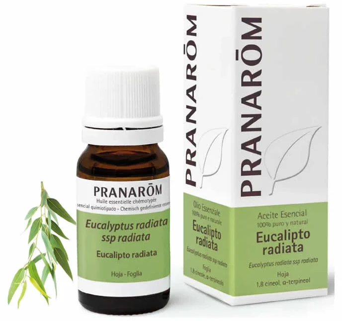 Pranarom ESSENTIAL OIL #eucalyptus radiata 10 ml