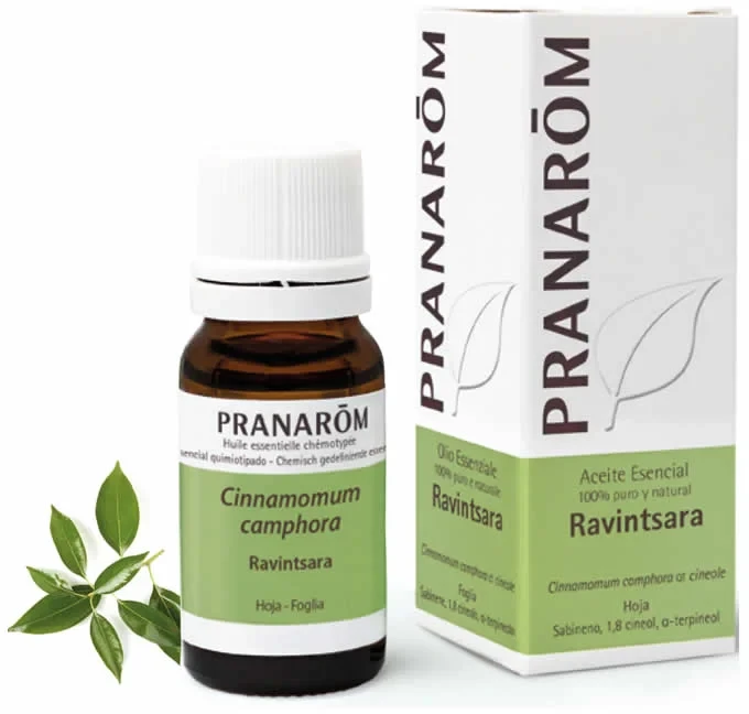 Pranarôm Ravintsara eterinis aliejus su pakuote