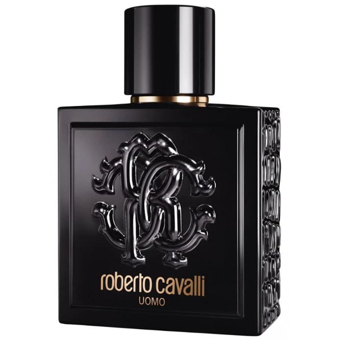 Kvepalai vyrams Roberto Cavalli Uomo EDT, 100 ml