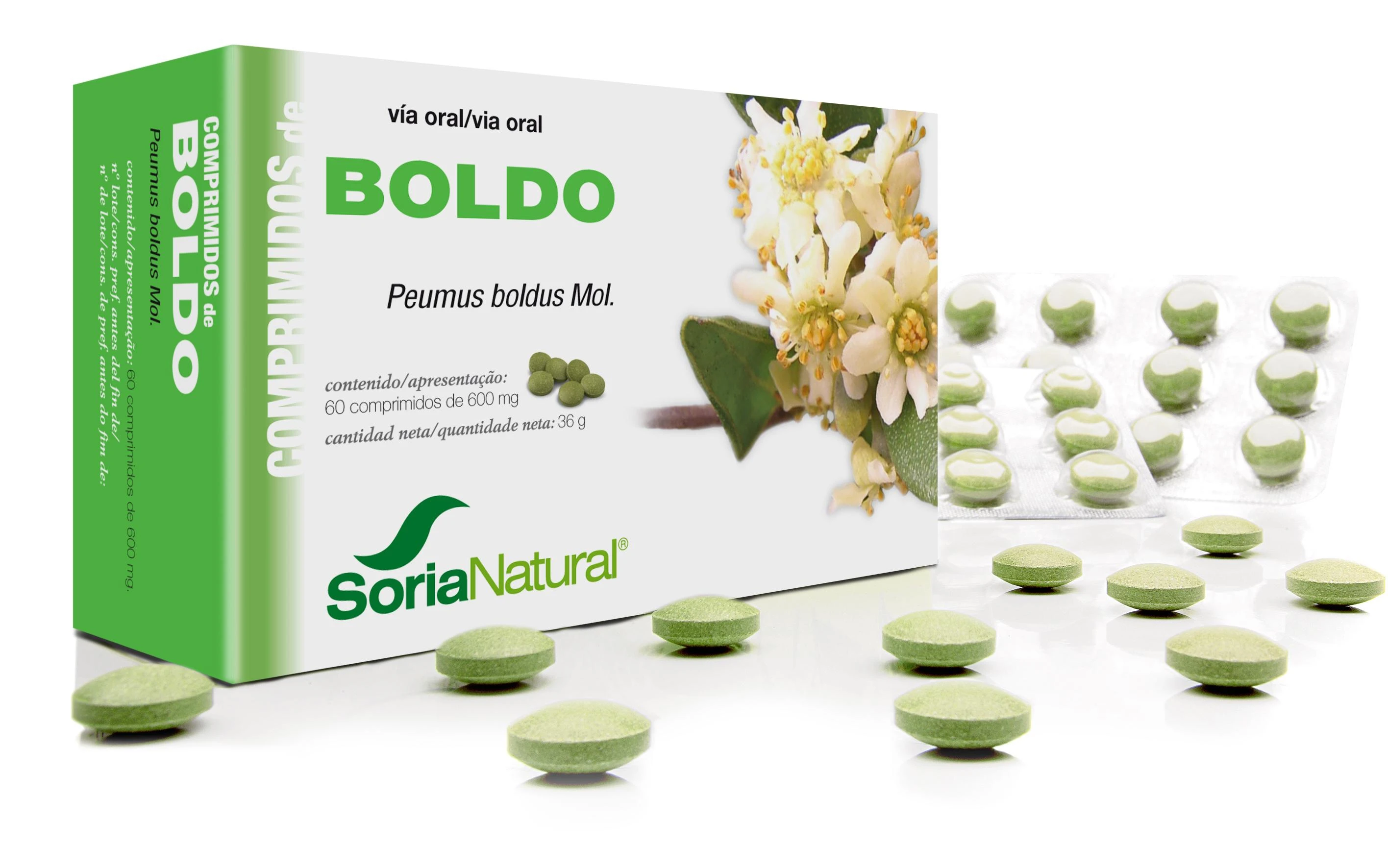 Soria Boldo 600 Mg 60 vnt