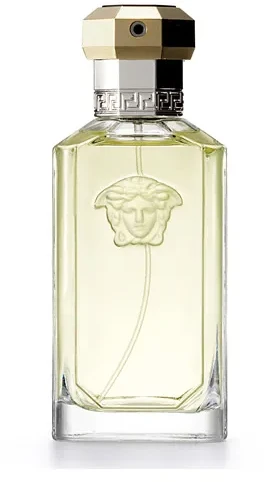 Kvepalai vyrams Versace The Dreamer EDT, 100 ml