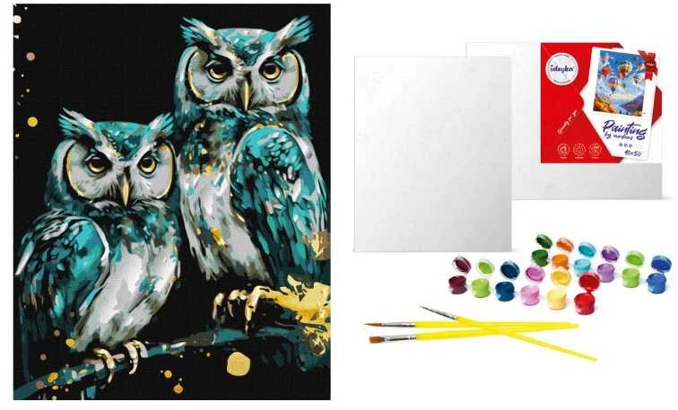 Art Active Dailininkas paveikslas skaičiais metalizuotas Išmintingos pelėdos KHO6514 40x50 AP0031