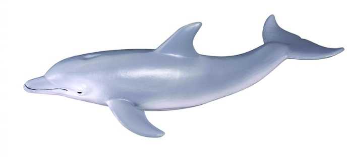 Collecta Figūrėlė Delfinas Afalina (M)