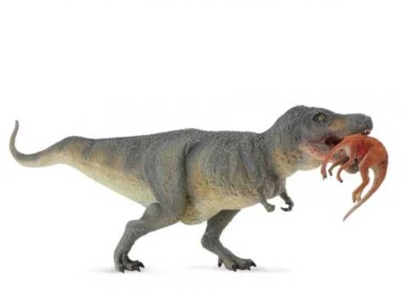 Collecta Figūrėlė - Tiranozauras Rex