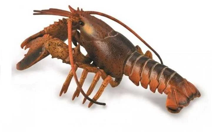 Collecta Figūrėlė Omaras (L)