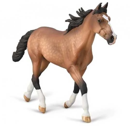 Collecta Figūrėlė - Amerikos ristūnų arklys aprašymas - Prekės nuotrauka