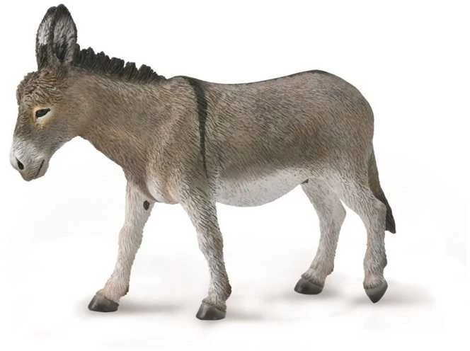 Collecta Surinkti Surinkti BARNAS (BARNAS)