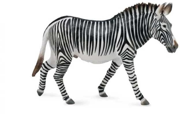 Collecta Figūrėlė Grevy's veislės zebras (XL)