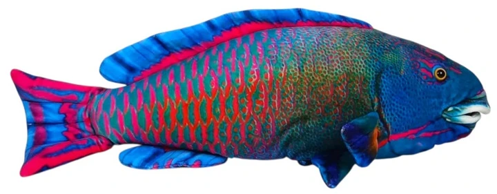 Dubi Pliušinis žaislas - spalvota žuvis, 50 cm