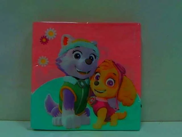 PROCOS Paw Patrol Skye ir Everest gimtadienio servetėlės - 33 cm - 20 vnt. Universalios