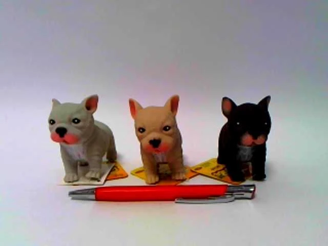 Hipo Hab AST. DOG x24 prancūzų buldogas, 10 cm, žirniai, 3 raštai, vitrinas.