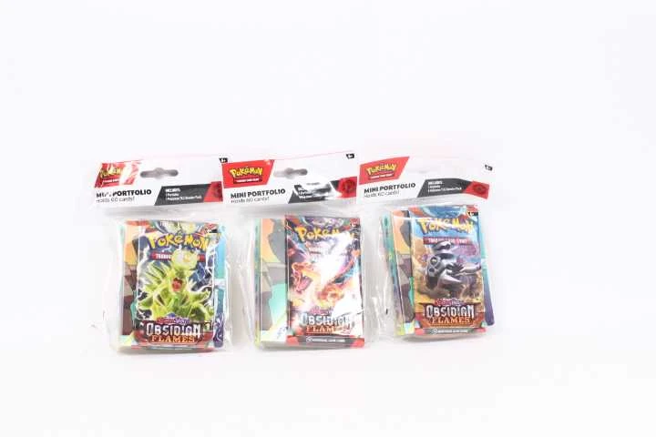 „Pokemon“ TCG – „Treasures of Ruin Obsidian Flames“ – mini portfolio
