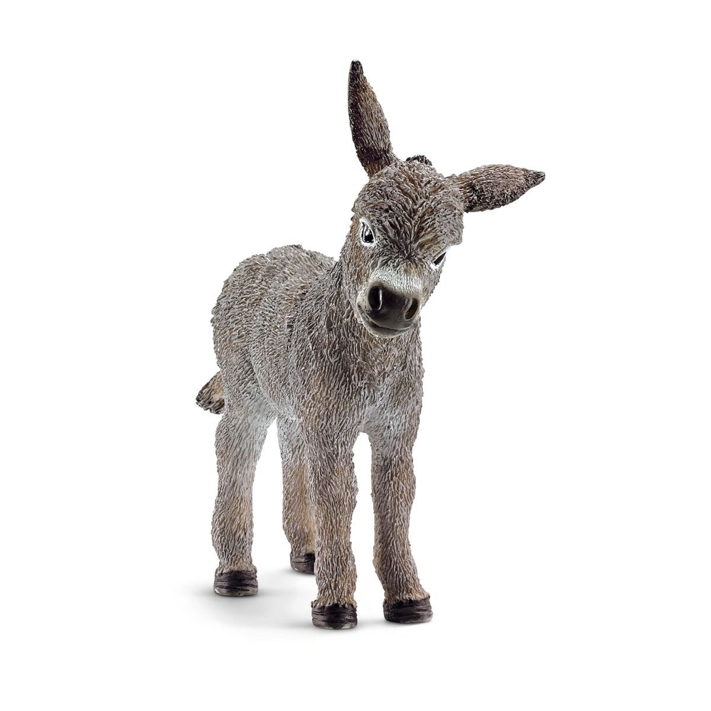 Schleich figūrėlė Asiliukas aprašymas - Prekės nuotrauka