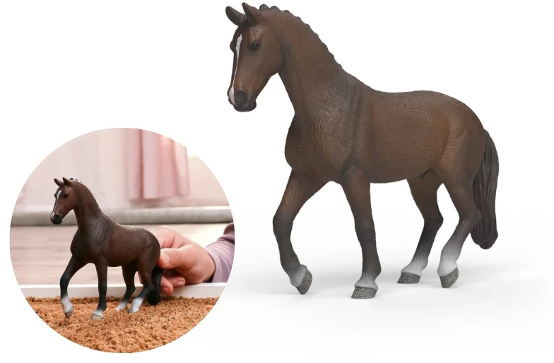 Schleichas – KWPN Gelding (14919)