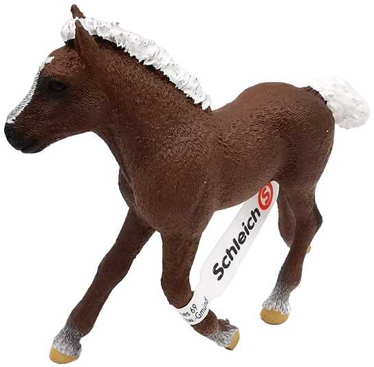 SCHLEICH Juodojo miško arklio kumeliukas