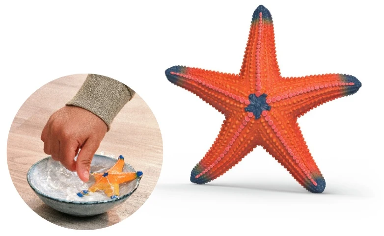 Schleich figūrėlė Jūrų žvaigždė (keičianti spalvą)