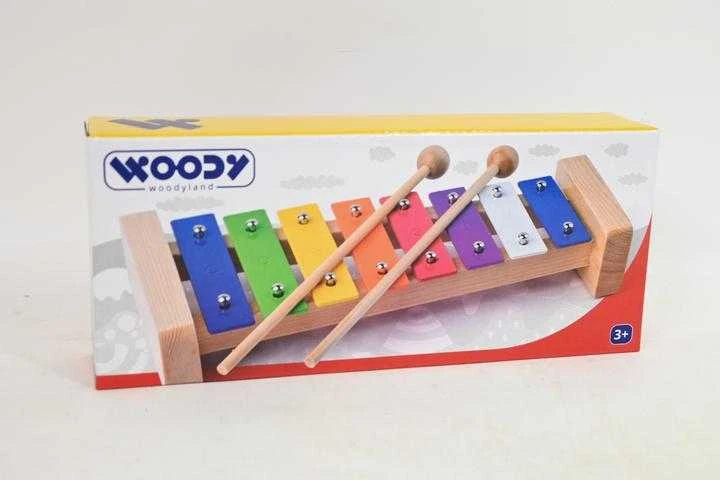 Woody 91892 Eco Wooden / Metal muzikos instrumentas - Spalvotas ksilofonas vaikams nuo 3 metų (25,5 cm)