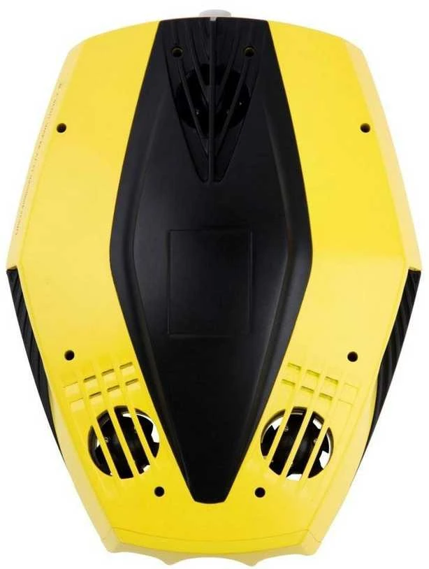 Povandeninins dronas Chasing Dory