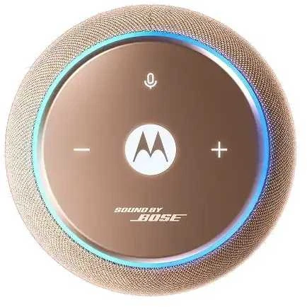 MOTOROLA SOUND FLOW ŠILTAI PUSIAI gelsvai rudos spalvos