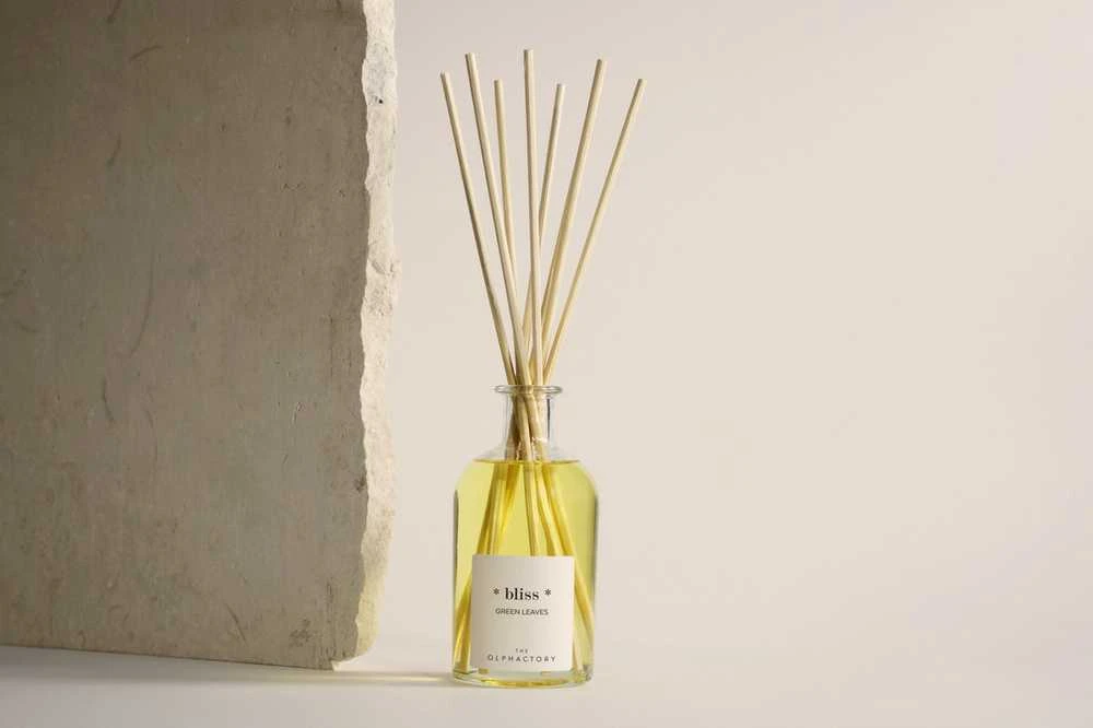 „The Olphactory Bliss“ žaliųjų lapų kvapiųjų lazdelių difuzorius su lazdelėmis, 250 ml