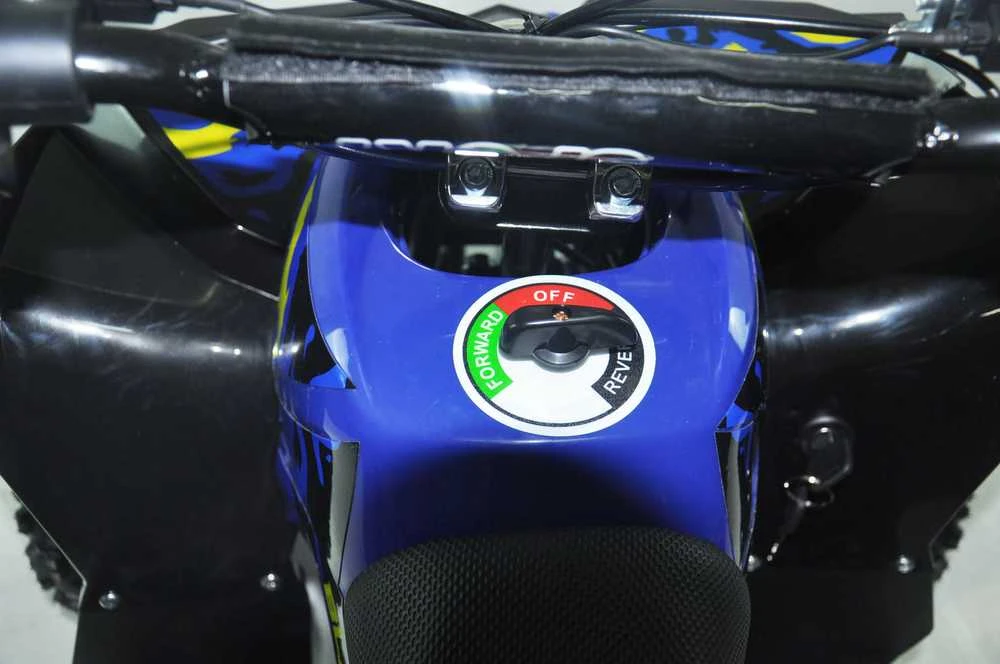 Vaikiškas elektrinis keturratis MUKUTISRIDES BlazeRider 1000W 36V (mėlynas)