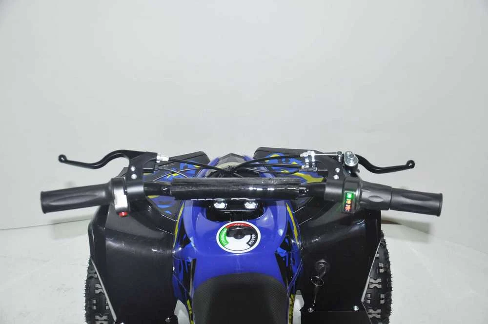Vaikiškas elektrinis keturratis MUKUTISRIDES BlazeRider 1000W 36V (mėlynas)