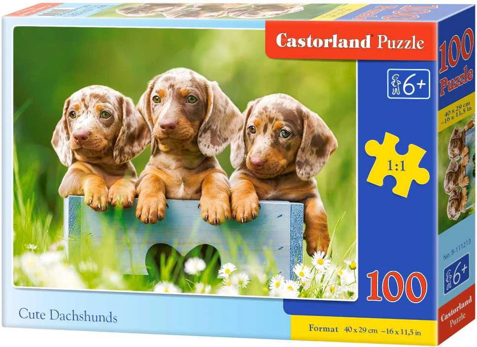 Castorland Dėlionė 100 vnt. - Mieli šunyčiai