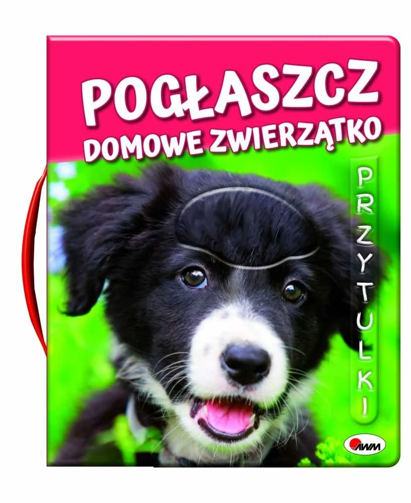 Morex PRINCAS. augintinis - augintinis, glostytas