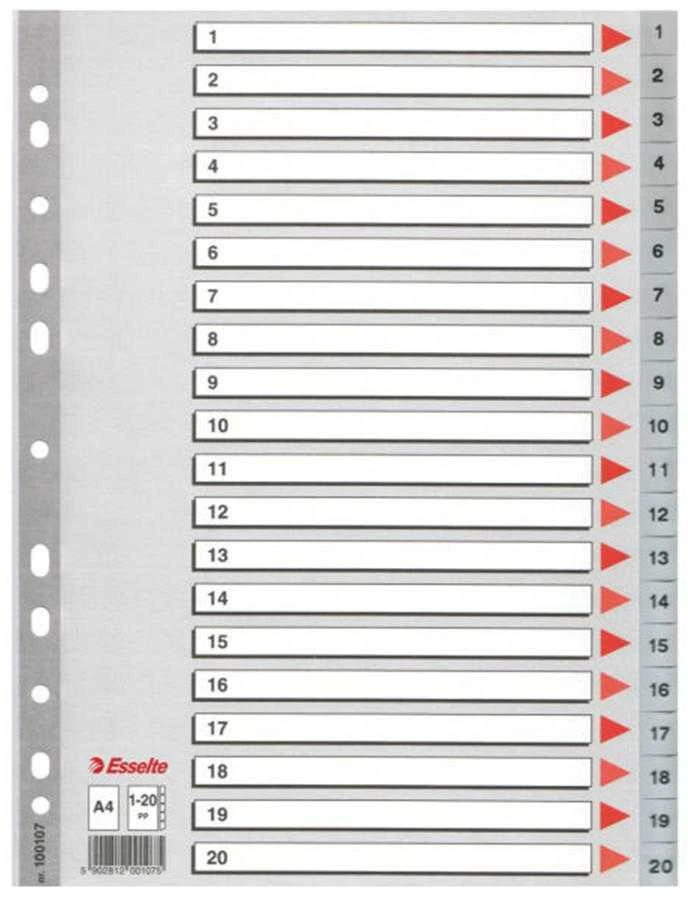 Skiriamieji lapai ESSELTE, 1-20, A4, PP