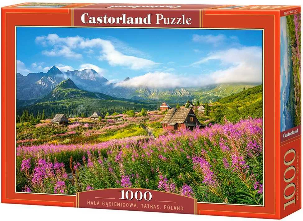 Castorland Dėlionė 1000 vnt. - Tatrai, Lenkija