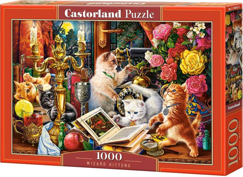 Castorland Dėlionė 1000 vnt. - Stebuklingosios katės